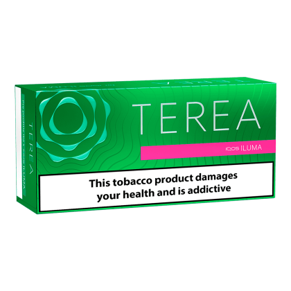 TEREA Green pack — Lightly toasted tobacco with fresh green mint.